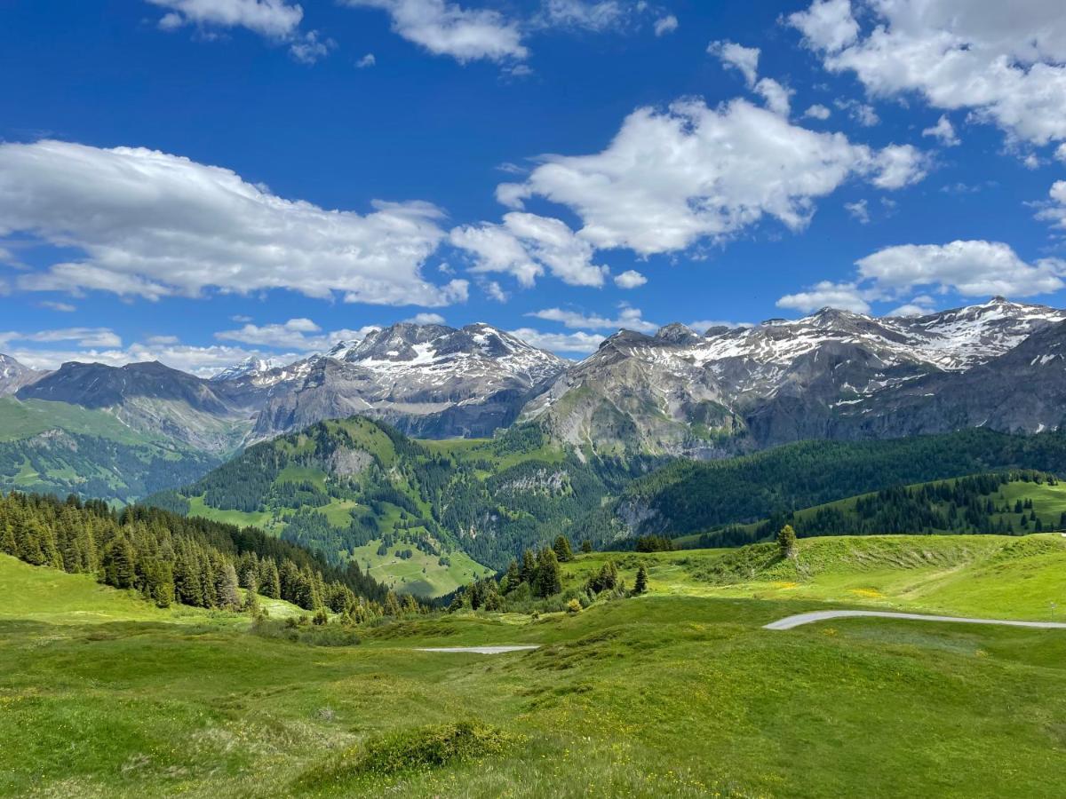 Apartment Residence Sonnegg - Reimers - Vogel Zweisimmen Exteriör bild