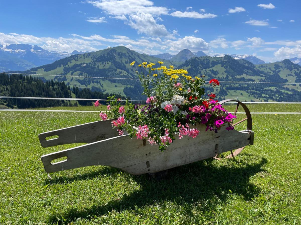 Apartment Residence Sonnegg - Reimers - Vogel Zweisimmen Exteriör bild